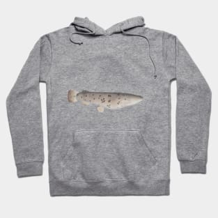 Electric Catfish Hoodie